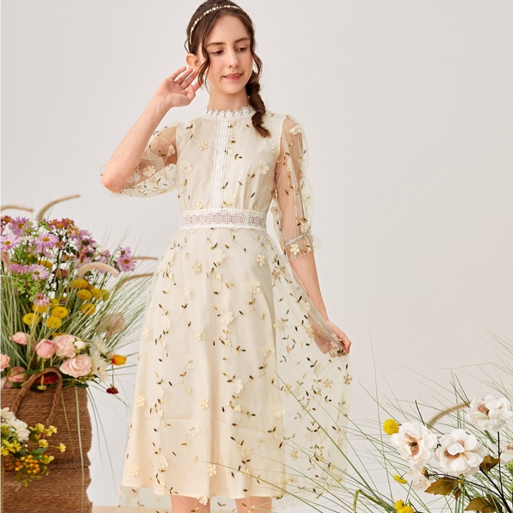 SHEIN Teen Girls Lace Insert Applique Mesh Overlay Dress
Size: 14Y
Color: Beige